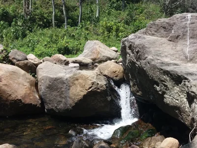 Kurangani - Photo 4