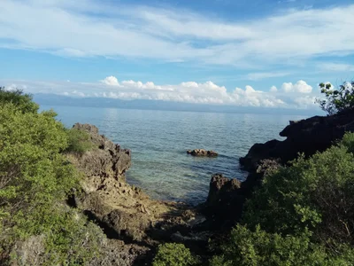 Moalboal - Photo 2