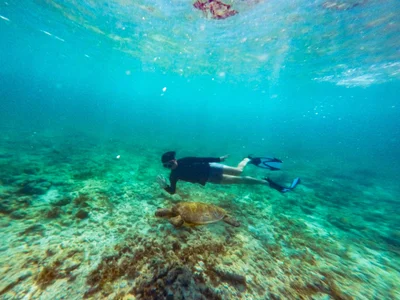 Moalboal - Photo 3