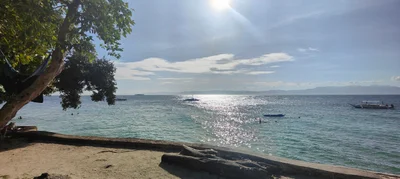 Moalboal - Photo 5