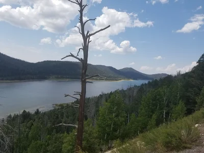 Duck Creek Village - Photo 4
