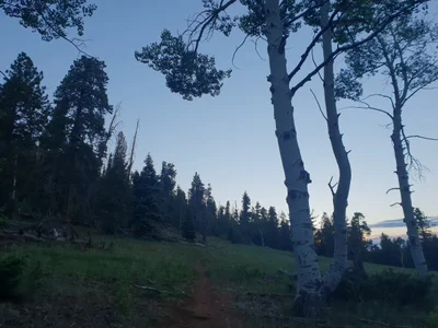 Duck Creek Village - Photo 5