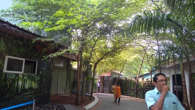 Ayamkudy - Photo 4
