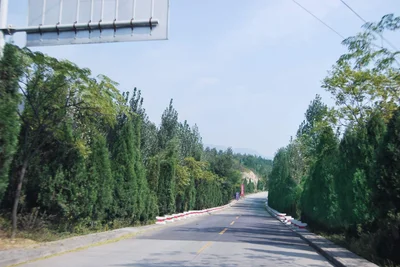 Zhengzhou - Photo 4