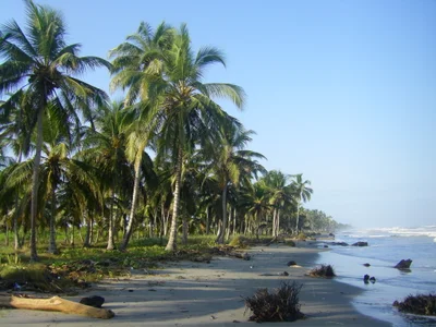 Cartagena - Photo 5