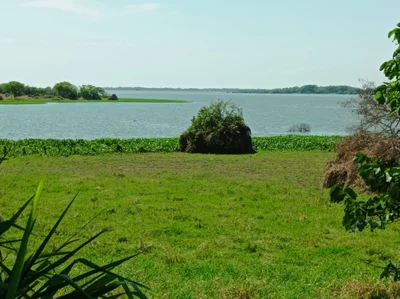 Chimichagua - Photo 3