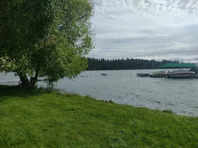 Polson - Photo 5
