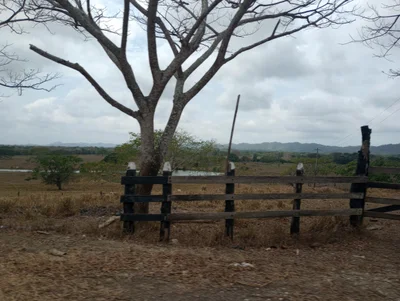 Carrera 1B - Photo 2