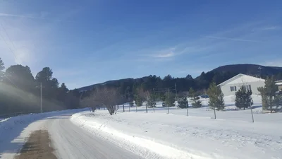 Story - Photo 3