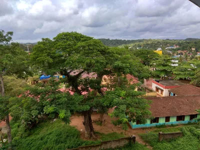 Nedumangad - Photo 2