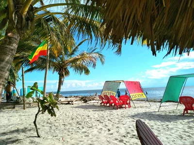 Zion Beach bar - Photo 3