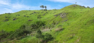 Impasugong - Photo 4