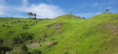 Impasugong - Photo 5