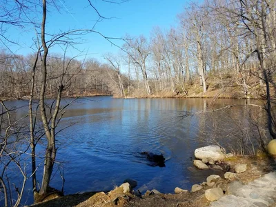 Morris County - Photo 3