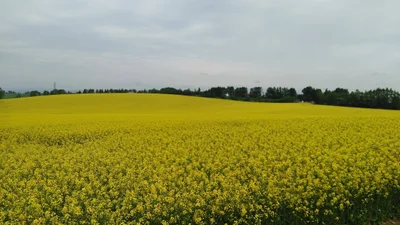 Abira - Photo 4