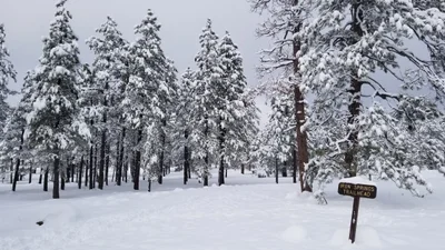 Munds Park - Photo 3