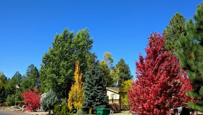 Munds Park - Photo 4