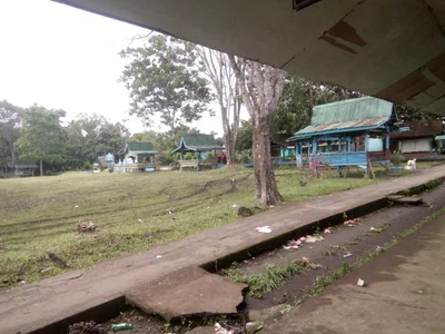 Pualas - Photo 2
