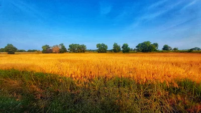 Puttalam District - Photo 5
