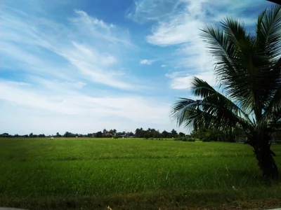 Calumpit - Photo 5