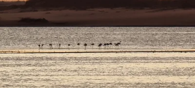 El Dakhla Oases - Photo 4