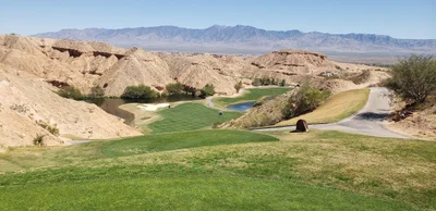 Mesquite - Photo 5