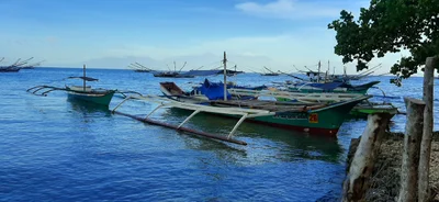 Samal - Photo 2
