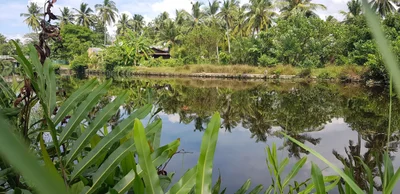 Pamunugama - Photo 5