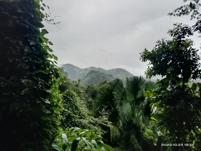 Paahiyangala - Photo 2