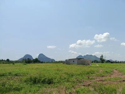 Kaki Bukit - Photo 2