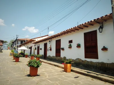 Pinchote - Photo 4