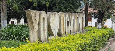 Ocamonte - Photo 5