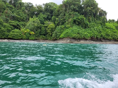 Bahia Solano - Photo 2