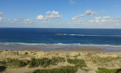 Jangamo - Photo 2