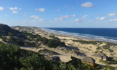 Jangamo - Photo 3