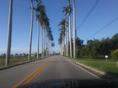 Pahokee - Photo 3