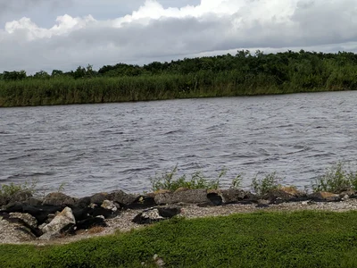 Pahokee - Photo 4