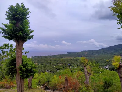 Maasim - Photo 2