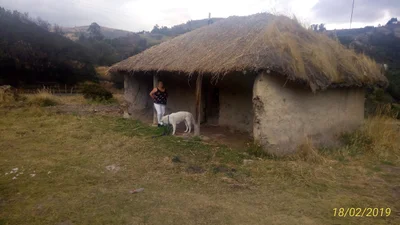 Pajarito - Photo 5
