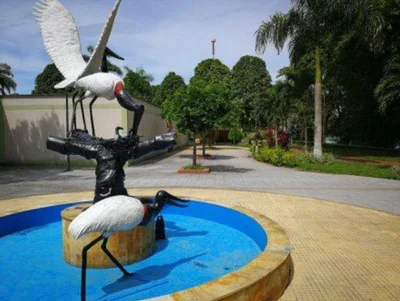 San Luis de Palenque - Photo 4