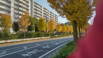 Toride - Photo 2