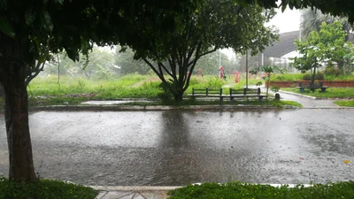 Aguazul - Photo 5