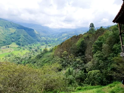 Risaralda - Photo 3