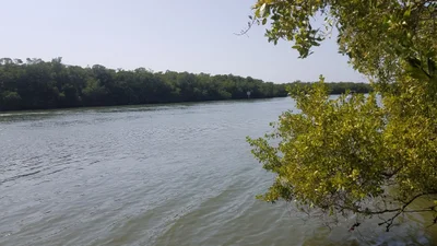 Saint James City - Photo 3