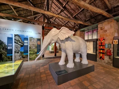 Museo de Historia Natural de la Sabana - Photo 2