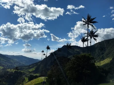 Cocora - Photo 2