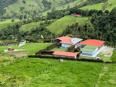 Cocora - Photo 3