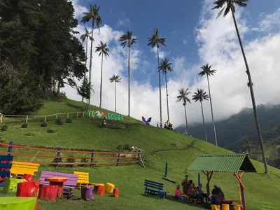 Cocora - Photo 4