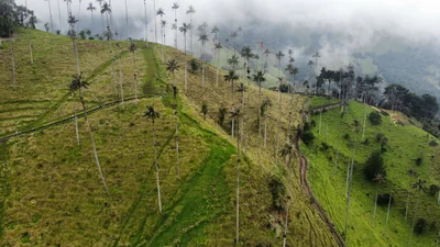 Cocora - Photo 5