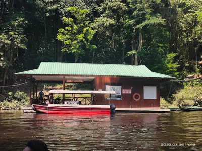 Jerantut District - Photo 2